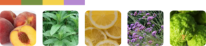fizzy citrus