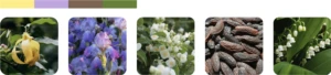 White musc